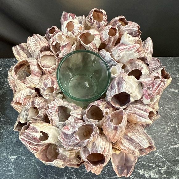 Decorative Barnacle Clusters - Purple and Cream sconces candle holders - Picture 6 of 15